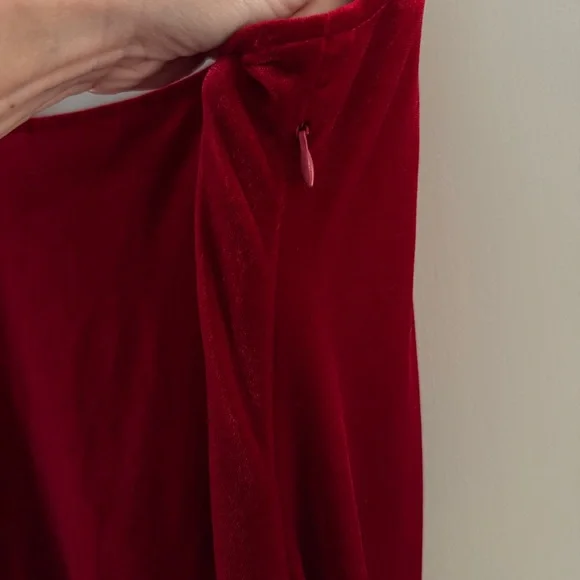 Gorgeous Zara Deep Red Velvet Dress - Picture 8 of 8